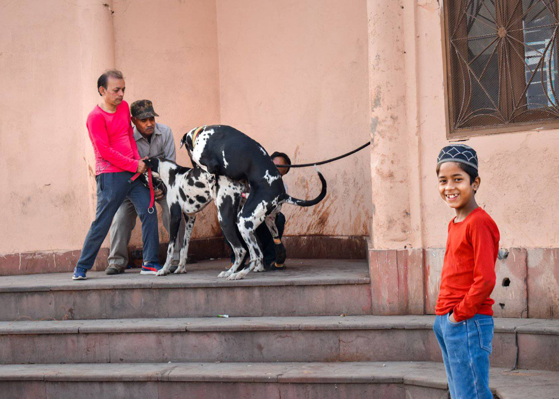 Anil-Kushwaha.jpg