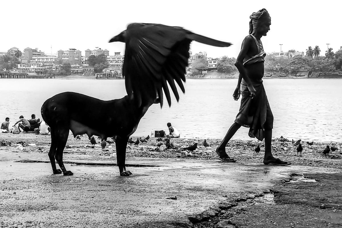 photography-kolkata-c-t-4_0.jpg